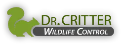 Dr. Critter Wildlife Control