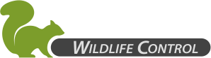 Dr. Critter