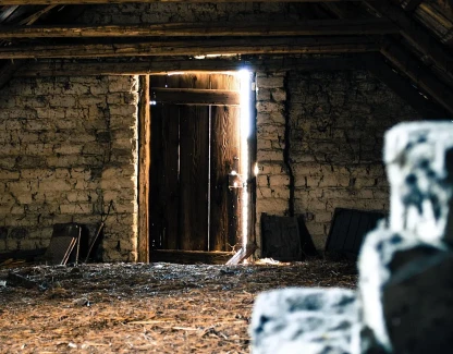What's That Noise in My Attic? Identifying Florida Wildlife by Sound, Smell, and Damage